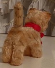 Steiff Tapsei Stuffed Plush Mohair Kitten 1950 s To 1960 s 7  Long 6  Tall 