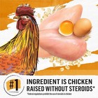 Purina Grain Free White Meat Chicken   Egg Recipe Adult Dry Cat Food  3 Lb