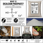 Dicalcium Phosphate 21  Feed Grade 2 Lb Bag For Livestock Poultry Plants Soil