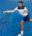 Novak Djokovic Autographed 8x10 Photo Tennis Autographed Glossy Blue Photo Good