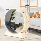 Cats Exercise Wheel White With Lock 30in Large Cat Treadmill Wheel For Indoor