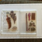Stampin Up  Butterfly Basics Clear Stamp Set Free Ship Honeycomb Fern Postmark