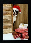 Christmas Dog Puppy Santa Hat Door Presents Snow - Greeting Card W  Tracking
