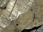 Mystery  Specimen  Old Stock Mineral Rutile  Quartz 