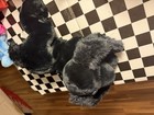 Russ Berrie Plush Dog Thunder 16    Black Cocker Spaniel Stuffed Animal Toy