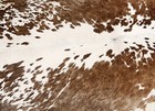 New Cowhide Rugs Area Cow Skin Leather 17 67 Sq feet  53 x48   Cow Hide U-1004