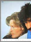 Hall And Oates     Rare Original 1980s Arista   Bmg Victor Promo Poster  b2 