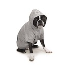 Zack And Zoey Basic Hoodie For Dogs 16in Medium Heather Gray
