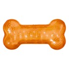 Kong Crackle Squeezz Bone Dog Toy