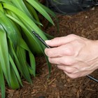 Dig Ml50 Raised Bed Drip Watering Kit Complete One Box Irrigation Kit