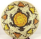 Native American Hopi 12  Coiled Basket With Turtle