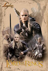 2003 Lord Of The Rings Trilogy Legolas Orlando Bloom Poster New 22x34 Free Ship