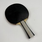 Palio Expert Ping Pong Paddle Table Tennis Racket With Blue Zippered Carry Case