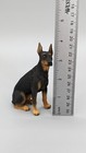 Doberman Pinscher Dog Figure Statue Realistic Paint   Details 4  Resin