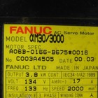 Fanuc A06b-0166-b675 Am30 3000 Ac Servo Motor 134v 133hz 3ph 2000rpm