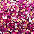 Dried Rose Petals Real Natural Dried Rose Petals 1 75oz 50g For Bath Soap Making