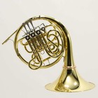 C g  Conn Model 10dys Professional Geyer Wrap French Horn Sn 663722 Superb