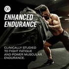 C4 Performance Energy Powder Drink Mix  Cosmic Rainbow  8 Pack