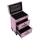 Professional Makeup Train Case Rolling Cosmetic Trolley Hair Beauty Travel Box