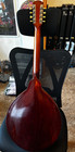 Gibson K-1 Mandocello With Martin Case 1917 Mandolin Family