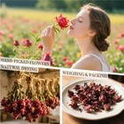 Dried Hibiscus Flowers 3oz - Natural Petals For Crafts  Soap   Candle Making