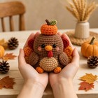 Handmade Crochet Turkey Doll Set Thanksgiving Fall Decor Harvest Ornament