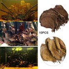 10pcs Catappa Indian Almond Leaves Ketapang Leaf Shrimp Betta Fish New Care V6p5