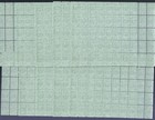 Blue Chip Trading Stamps 10 Sheets Of 50 Stamps Unused  Mint Condition  260048