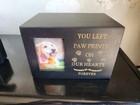 Pet Photo Urn  you Left Paw Prints On Our Hearts Forever  