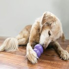 Kong Senior Dog Chew Toy Medium Purple Rubber Stuffable For Older Dogs 