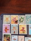 Collection Of  South America Stamps    