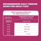 Iams Proactive Health Adult Urinary Tract Healthy Dry Cat Food With Chicken  22