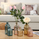 Glass Flower Vase Set  Clear Bud Vases  Apothecary Bottle  Assorted Color Vases