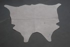 100  New Cowhide Rugs Area Cow Skin Leather  44 x 44   Cow Hide Sa-2660
