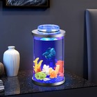 Mini Fish Tank With Remote Multi-color Led System  Half Gallon Aquarium Start   
