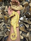 Rustic Carved Yellow Wooden Sea Horse Driftwood Wall Hanging Seaside