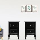 Set Of 2 Nightstand With Storage 2 Drawer Modern Wood End Bedside Table Coffee