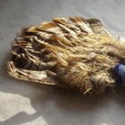 Vintage Native American Indian Ceremonial Peyote Stitch Fan