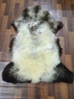 British Jacob Sheepskin Genuine Sheep Skin Real Sheep Fur Area Rug 3 9ft X 2 4ft
