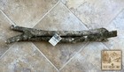 24  Nc Holly Tree Decorative Wood For Carving  Crafts  Wedding  Party Decor