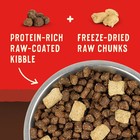 Stella   Chewy s Wild Red Raw Blend All Life Stages Dry Dog Food 21 Lbs