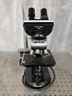 Nikon S-kt Sbr Microscope W  4 10 100 Objectives  Phase Contrast
