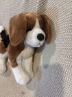 Douglas Cuddle Toys Bernie The Beagle   2035 Stuffed Animal Toy Plush Dog