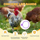 100-pack Chicken Leg Bands  20 Mm Plastic Poultry Identification