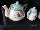 Japan  Hand Painted Vintage Childs 16 Piece Tea Set W extras