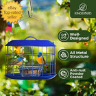 Bluebird Feeders For Outdoors Hanging All Metal Cage Mealworm Bird Feeder