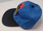 The Adventures Of Batman And Robin 1994 Blue Kids Hat