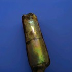 Very Large Ammonite baculite ammolite opalized iridescent  Rare Gem Fossil