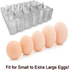 Large Plastic Egg Cartons 30 Packs With Sticker Labels For 12 Eggs  Cheap Bulk E