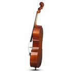 Natural Spruce Cello With Tiger Pattern Bow Bridge Strings Bag Rosin Set
